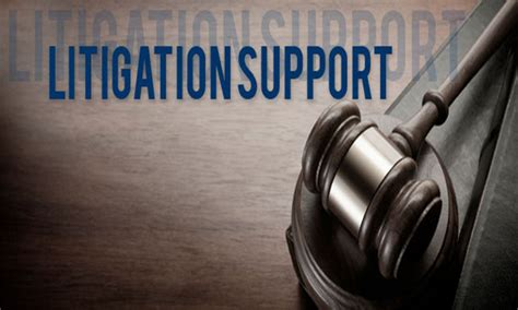 Litigation support
