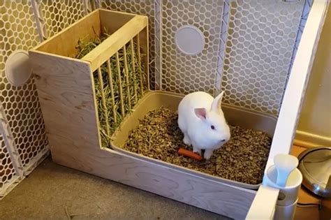 The Perfect Litter Solution for Happy Bunnies - Keep them Clean and Comfortable with Our Litter Box!