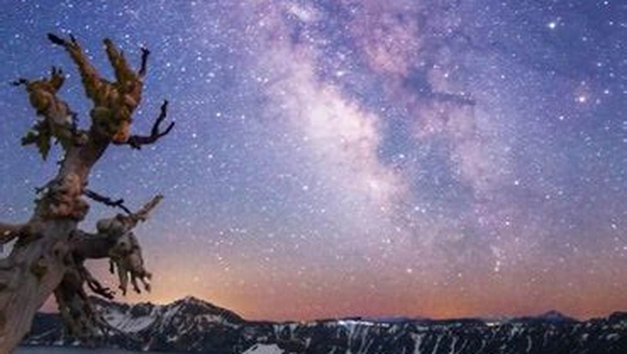 Little Joe Concert 2025