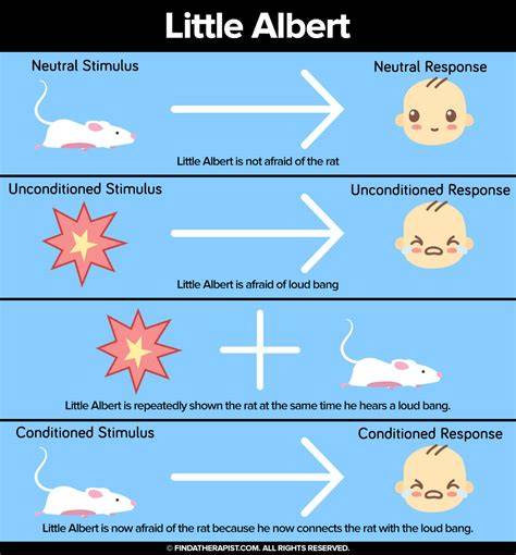 Little Albert Unconditioned Stimulus