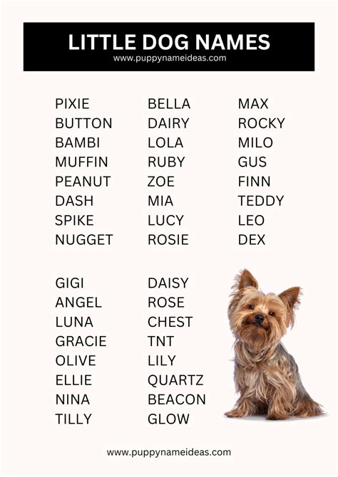 Little Dog Names