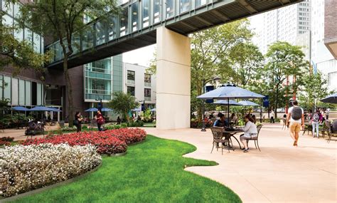 Liu Post Course Catalog