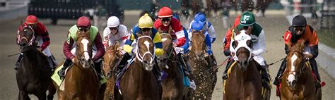 Live Races and Replays | Racing Officials Accreditation Program