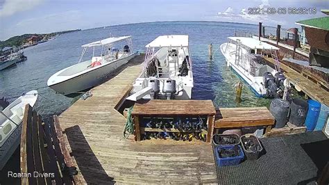 Live Roatan