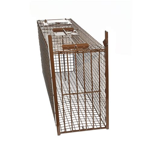 Image of a live trap