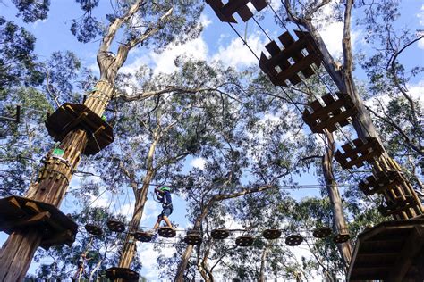 Live Wire Park courses