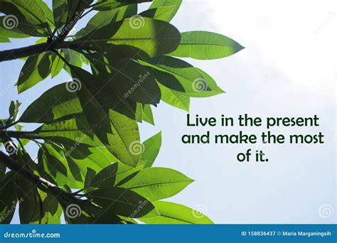 Live in the Present