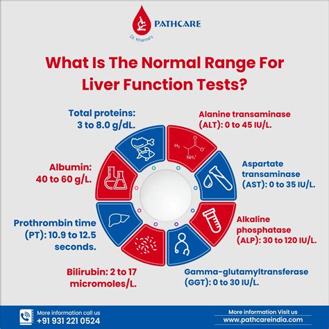 Liver Function Tests Subheading Image