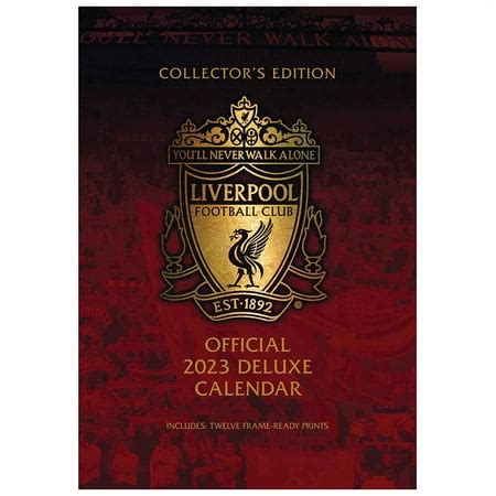 Buy Official 2023 Wall Calendars Online Danilo Danilo Promotions