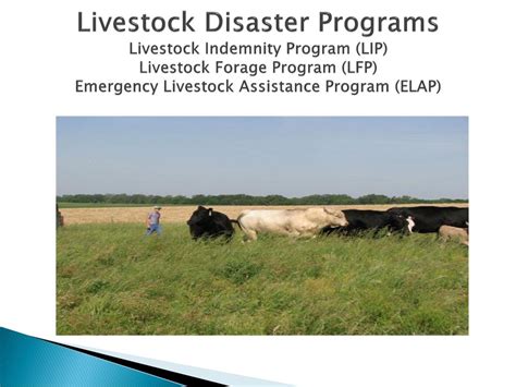 Livestock Forage Disaster Program Calculator
