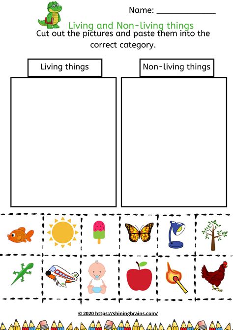 Living Things Non Living Things Worksheet