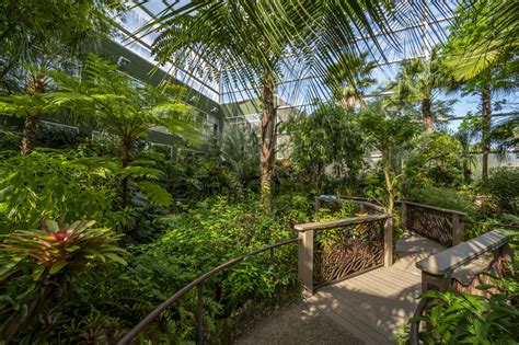 Living Butterfly Museum