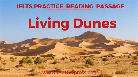 Living Dunes Tips