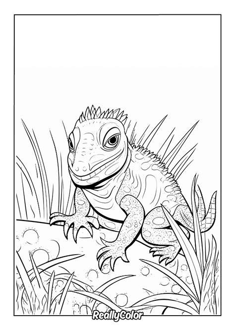 Lizard Color Page
