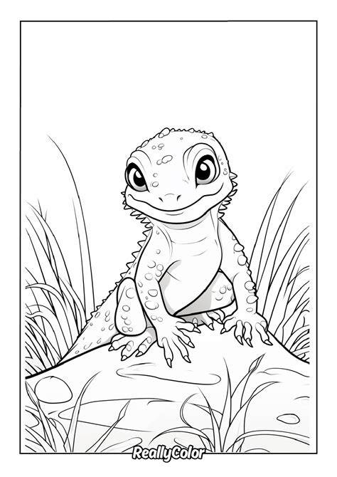 Lizard Coloring Page