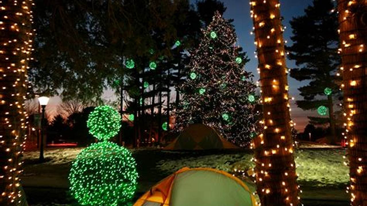 Ll Bean Tree Lighting 2024