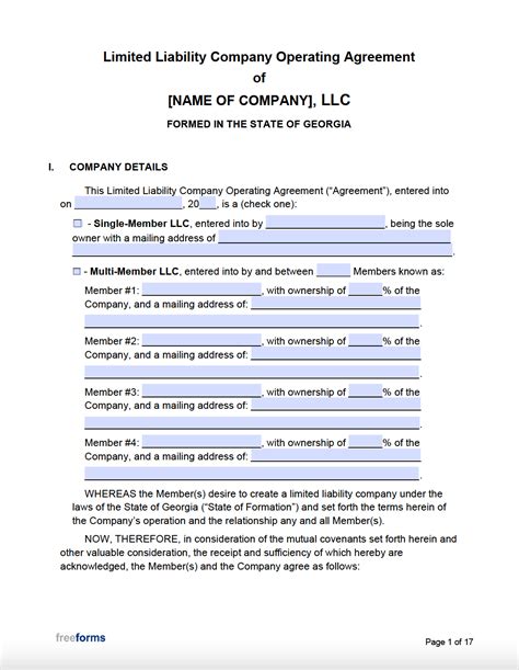 Llc Operating Agreement Template Georgia