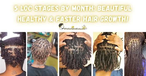 Loc Stages By Month