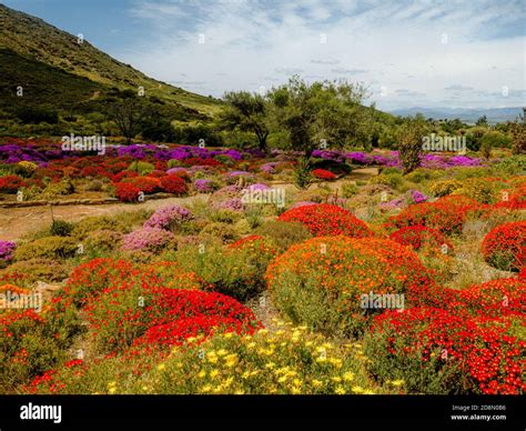 Honest Review: Local Botanical Garden, Rum Tasting, & Authentic Lunch