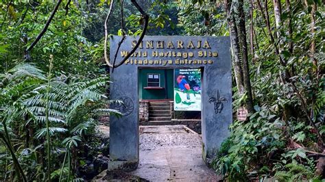 Local Communities Sinharaja Rainforest