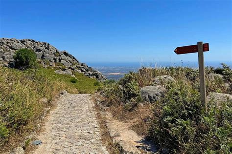 Local Crafts Mount Foia