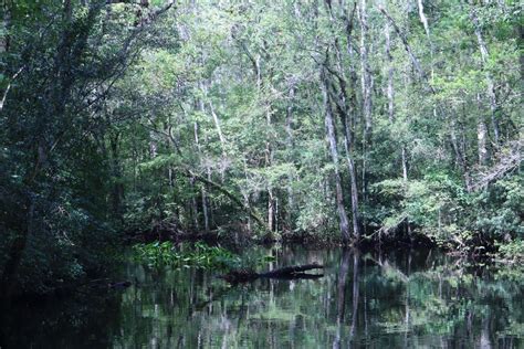 Local Events on Old St. Augustine Rd