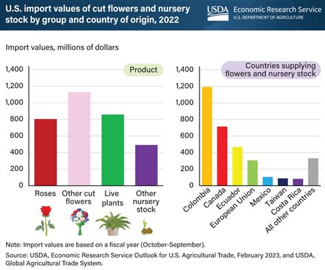 Local Flowers vs Imported