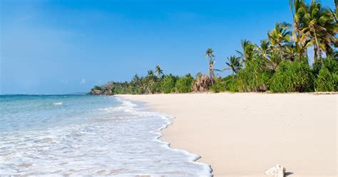 Local Guide Diani Beach