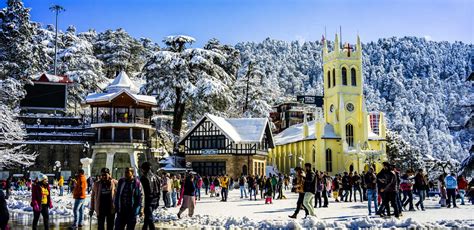 Local Guide in Shimla