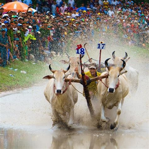 Local Hanoi Operator