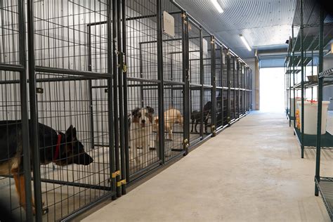 Local Kennel and Board-and-Train Programs
