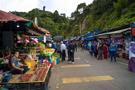Local Markets Cameron Highlands