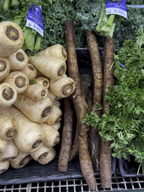 Local Options for Fresh Burdock Root