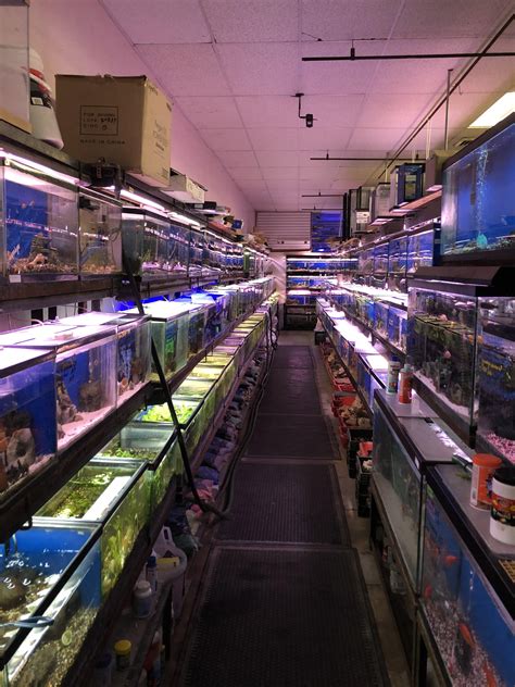 Local Pet Store Fish Store