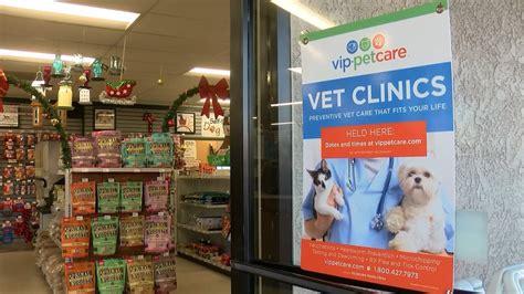 Local Pet Store Workshops and Clinics