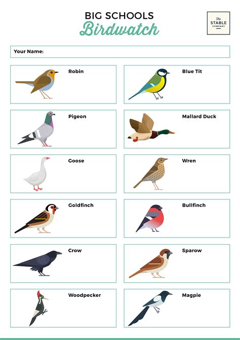 Local bird watching guide