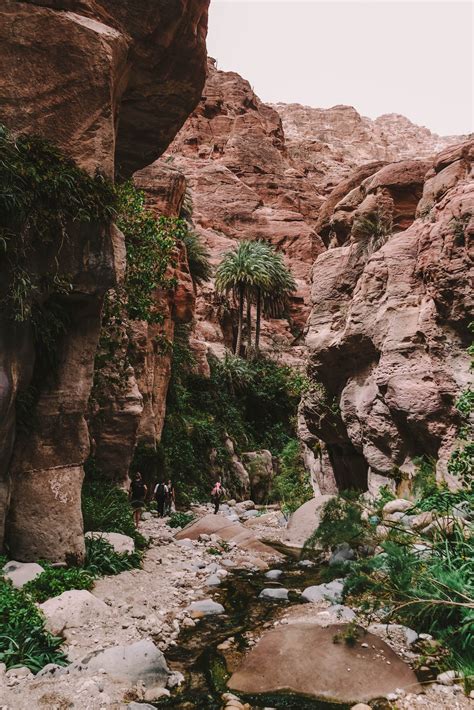 Local guide Wadi Ghuweir