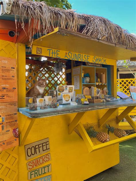 Local smoothie stand Hawaii