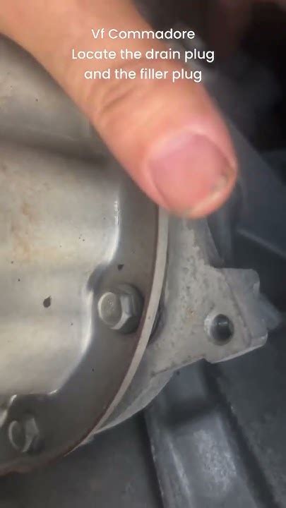 Locate the filler plug