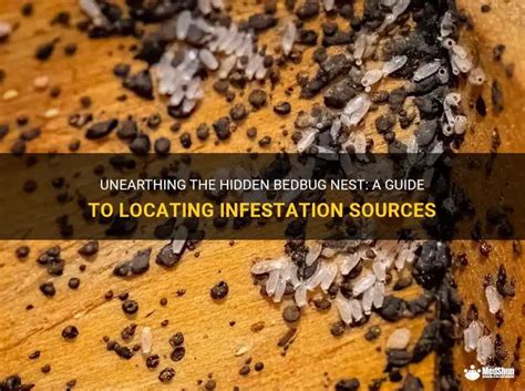 Locating the Infestation Sources