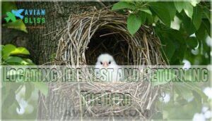 Locating the Nest