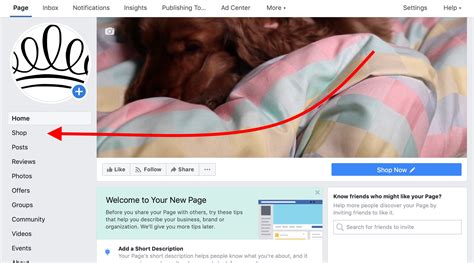 Locating the Shop Tab