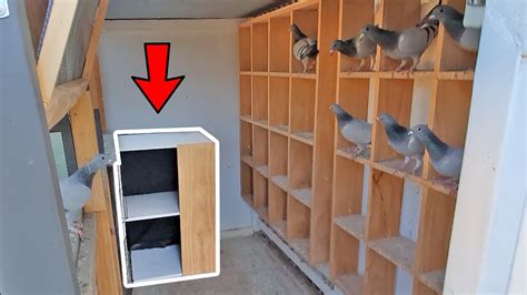 Location of Pigeon Breeding Boxes