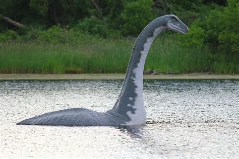 Loch Ness: Teori dan Penjelasan Rasional