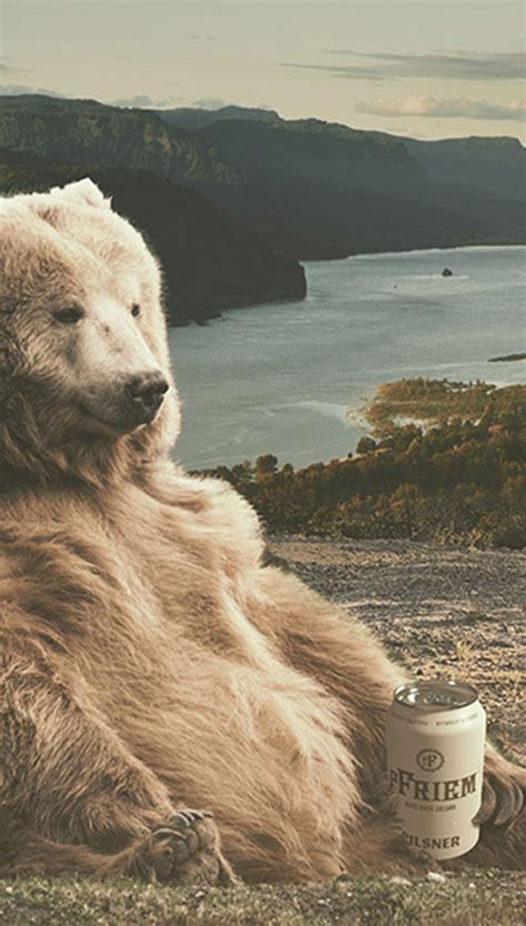 Locus Interactive: Hood River Creative Agency