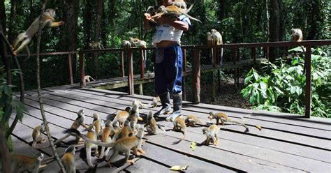 Lodging at Sabalillo Jungle