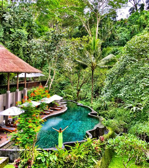 Lodging in the Jungle Indonesia