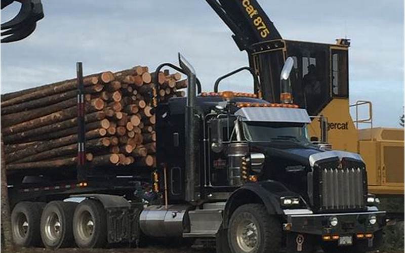 Log Trucks Image
