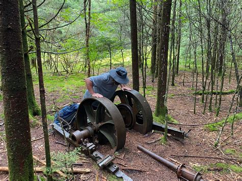 Logging in, checking out