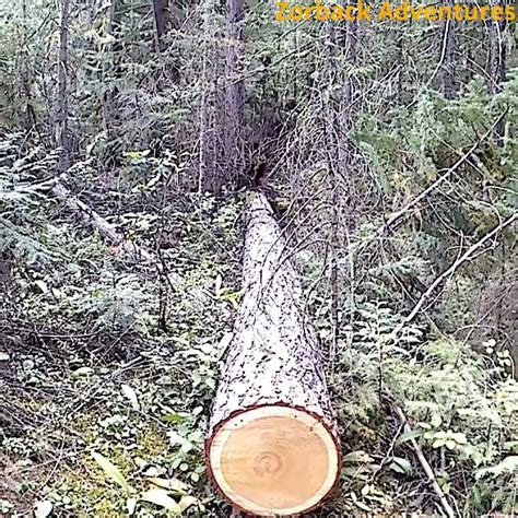 Logging in will be a bit of a challenge